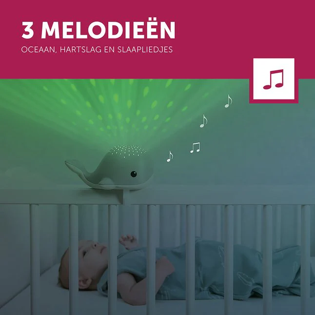 Productafbeelding 3